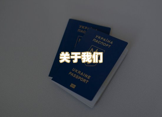 关于我们