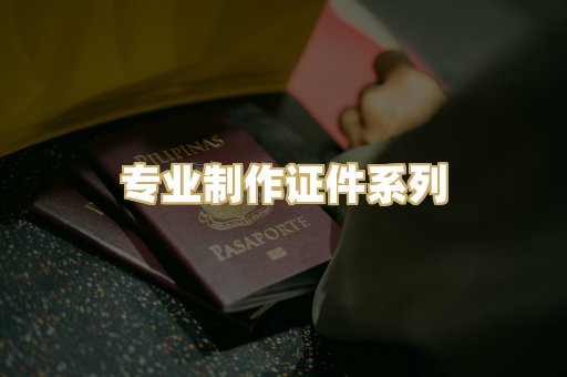 专业制作证件系列